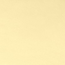 Butter Minky Cuddle 90 wide