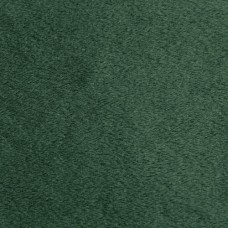 Evergreen Minky Cuddle 90 wide