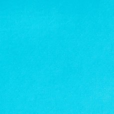 Turquoise Minky Cuddle 90 wide