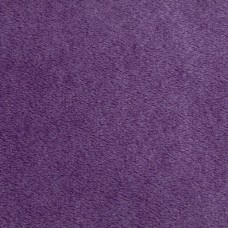 Amethyst Minky Cuddle 90 wide