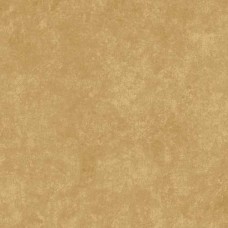 Textured Tan Cotton Quilt Back