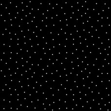 White Dots on Black Cotton Quilt Back