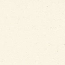 White 120 inch Wide Cotton Quilt Back