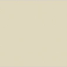 Benartex Ecru Quilting 108 Wide Cotton Quilt Back