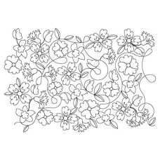 Daisy Floral Pano