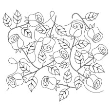 Rose Stem Pano