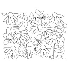Cone Flower Butterfly Pano SQ
