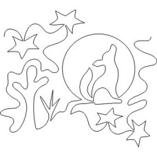 Coyote Moon Pattern