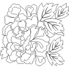 Kaffee Flower Pattern