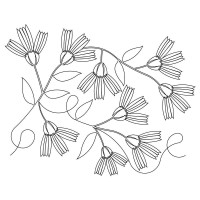 Chicory Pano 01 Pattern