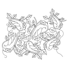 Bird Pano 3 Pattern