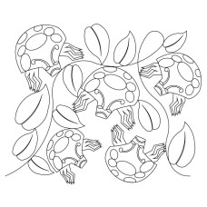 Grumpy Beetle Pattern