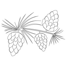 Pine Cone Pano Pattern