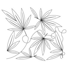 Leaf Pano 6