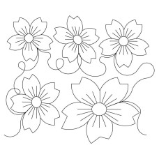 Flower Pano 2