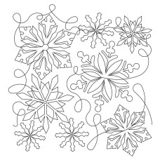 Snowflake Pano 8