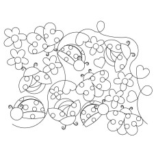 Ladybug Pano 2