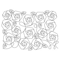 Roses Pano 5