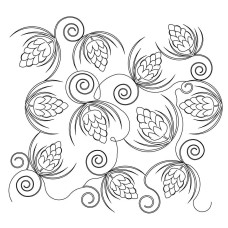 Pine Cone Swirl Pano