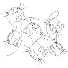 Pretty Kitty 4