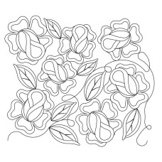 Rose Pano