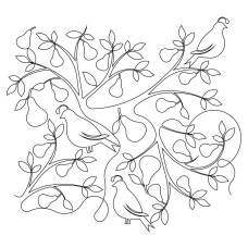 Partridge Tree Pano