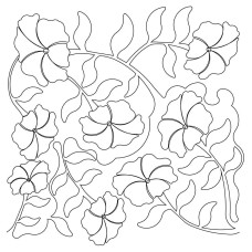 Petunia Pano 1