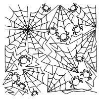 Spider Web Pano 6