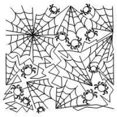 Spider Web Pano 6