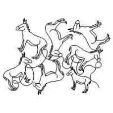 Donkey Pano 2
