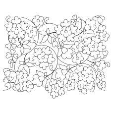 Jacobean Pano 10