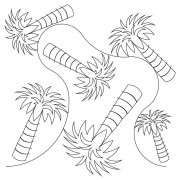 Palm Tree Pano