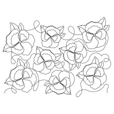 Pansy 05 Pano Pattern