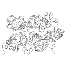 Tiger Face 02 Pano Pattern