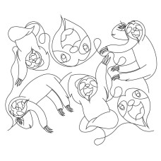 Sloth Pano 03 Pattern