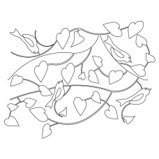 Bird Pano 4 Pattern