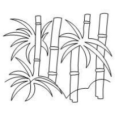 Bamboo Pano 3 Pattern