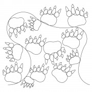Bear Paw Pano Pattern