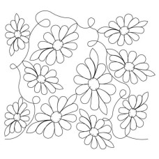 Daisy Chain Pano
