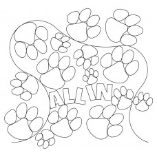 All in Paw Pano