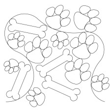 Dog Bone Paw Pano