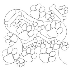 Dog Bone Paw Pano 2