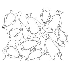 Penguin Pano 5