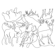 Mountain Animals Pano