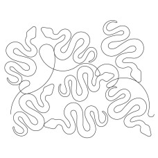 Snake Pano 4