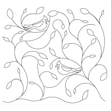 Leaf Branch Pano 5