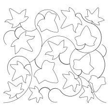 Ivy Leaf Pano 2
