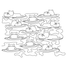 Hippos Swimming Pano 1