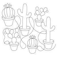 Cactus Pano 2